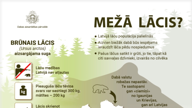 Infografika par to, kas jāzina sastopoties ar lāci