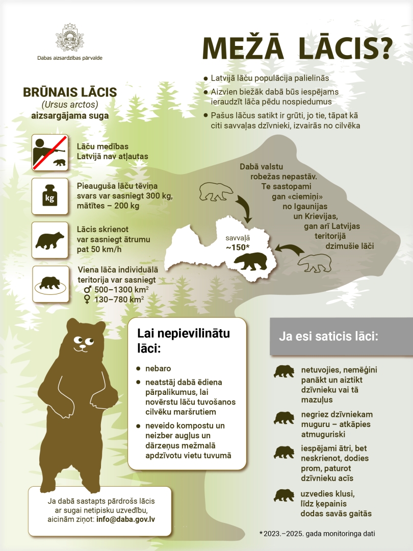 Infografika par to, kas jāzina sastopoties ar lāci