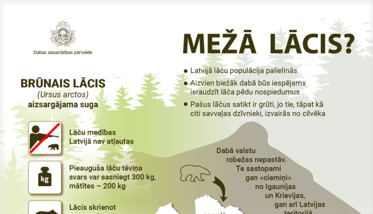 Infografika par to, kas jāzina sastopoties ar lāci